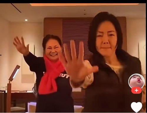 夜间梅视频在线观看,沉浸式体验梅视频在线盛宴 第1张 夜间梅视频在线观看,沉浸式体验梅视频在线盛宴 第1张