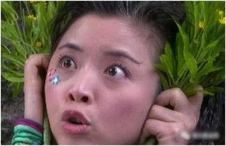 蛋娃姑姑维姐爆料视频,揭秘背后惊人真相  第3张